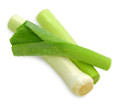 Leek