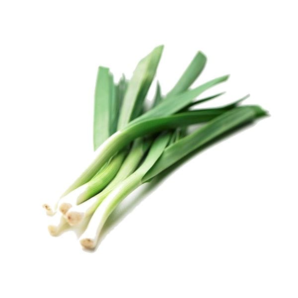 Leek - Baby