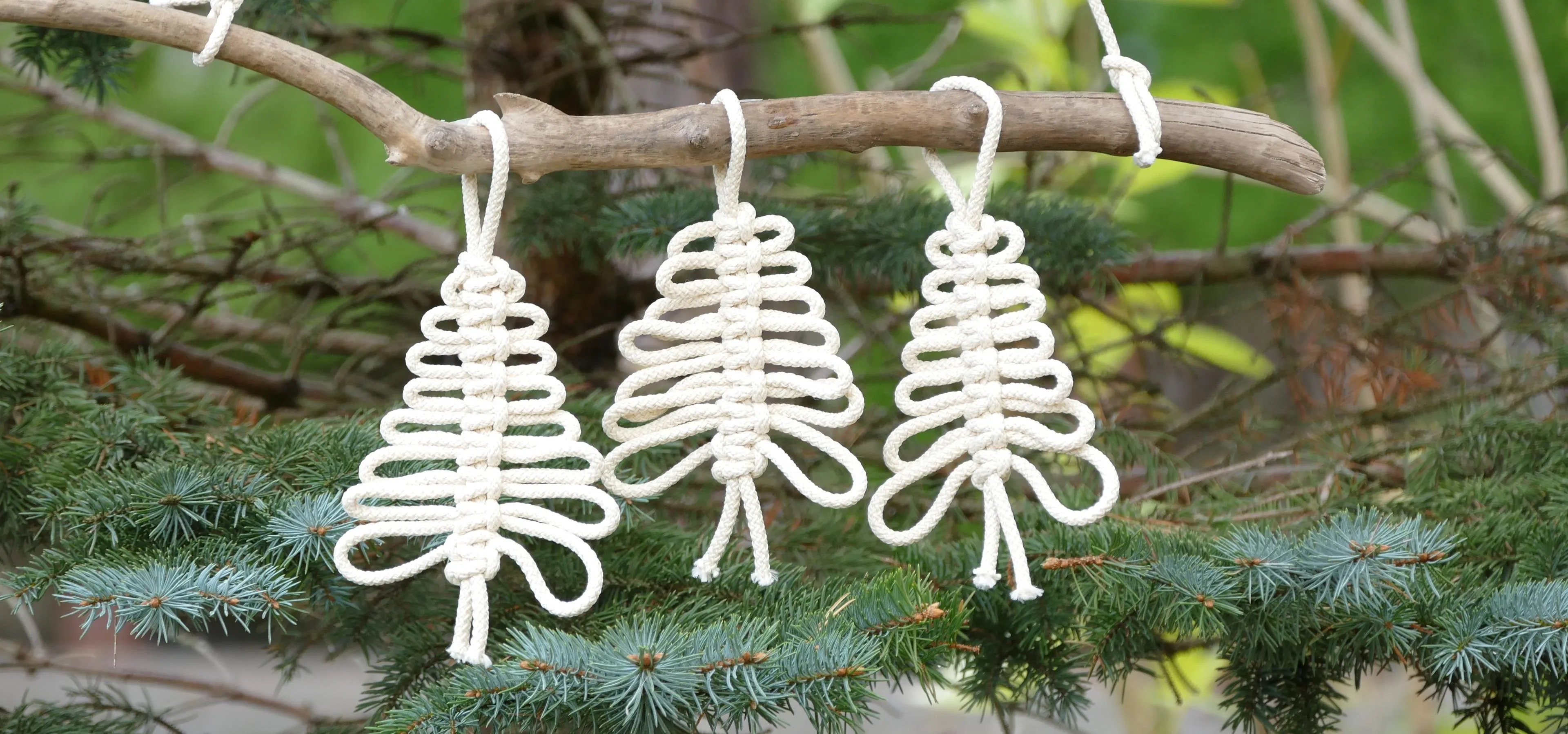 Macramé ornaments shaped like Christmas trees hanging on a branch.