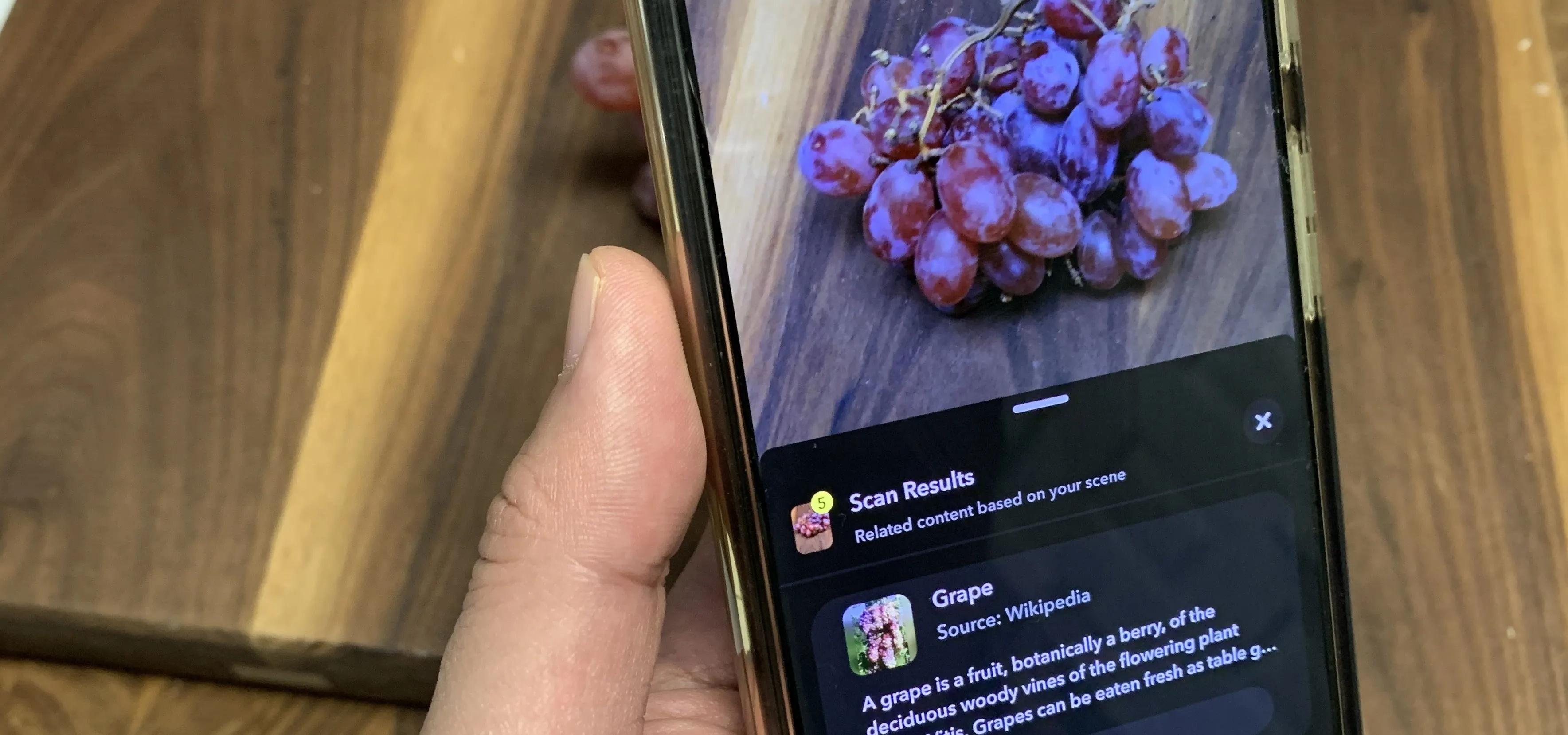 Close-up of a hand holding a smartphone displaying a bunch of purple grapes on a wooden surface.