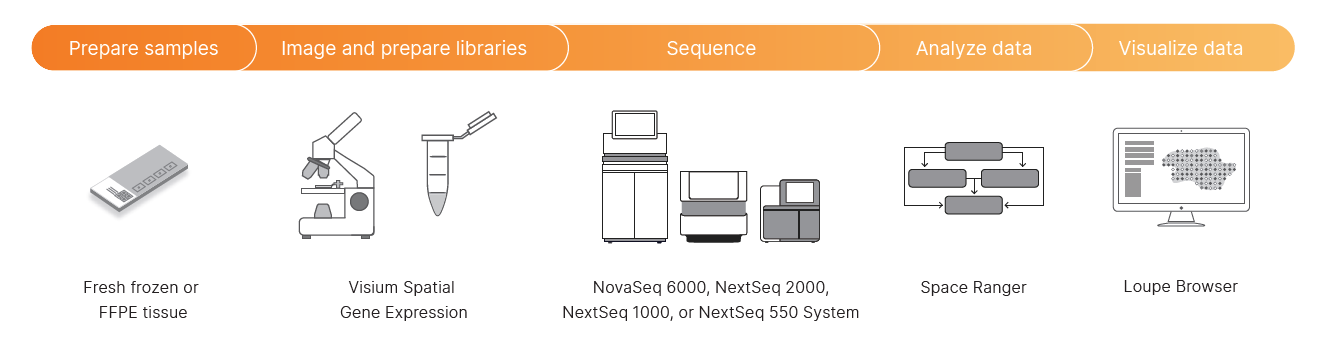 Illumina | 10x Genomics Visium Spatial Gene Expression data now…