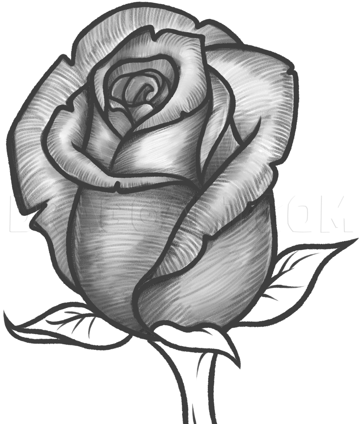 Cool Drawing Of Roses