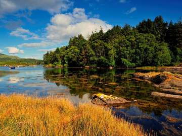 Glengarriff Bay (Ireland) puzzle online from photo