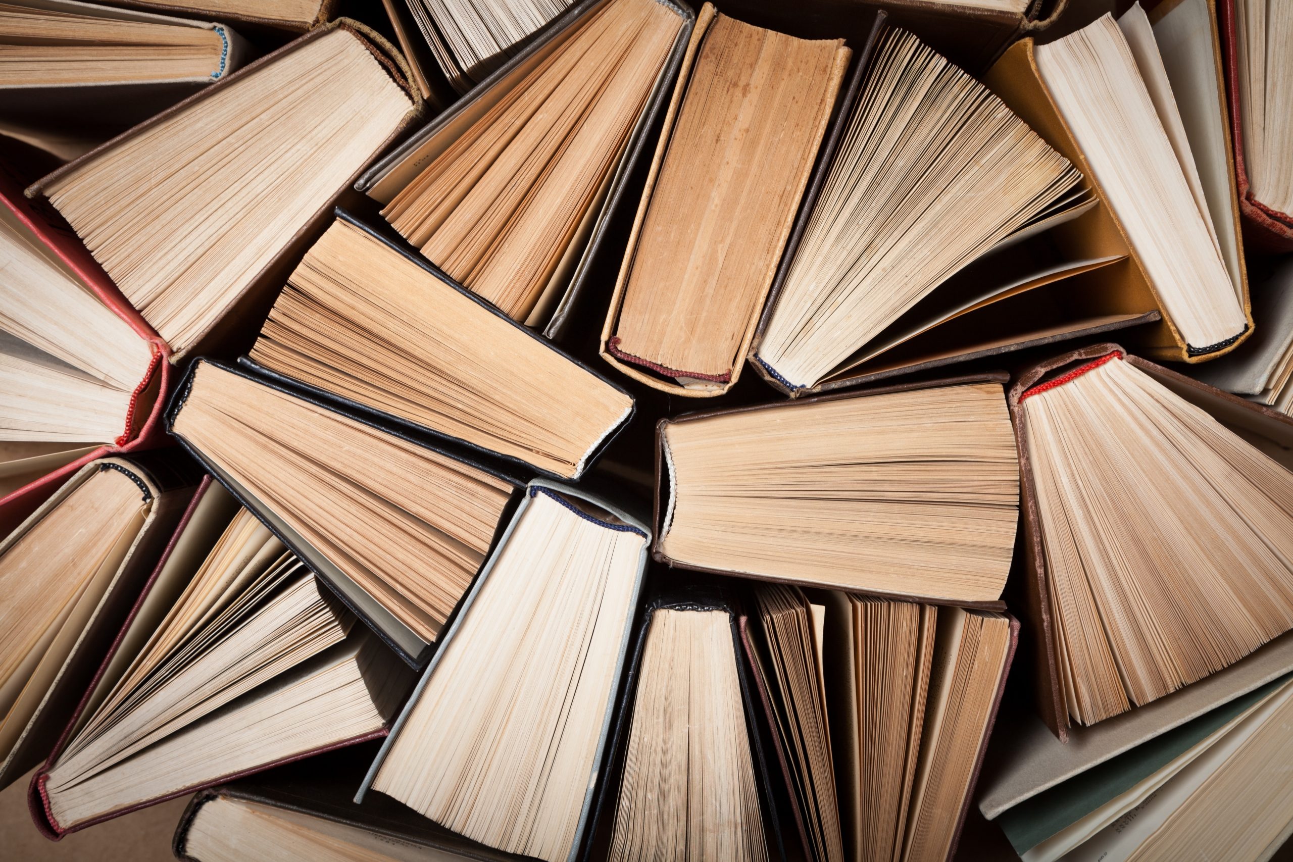 Vertical explainer photo 3 - Books / Photo Credit: Billion Photos, Shutterstock