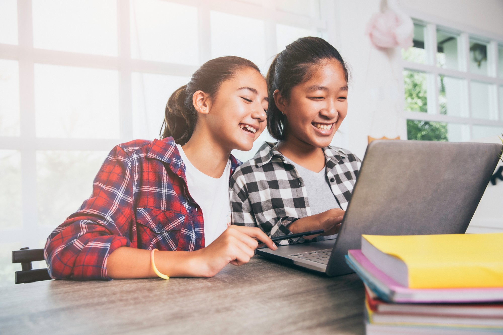 Vertical explainer photo 2 - Two girls smiling looking at computer