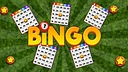 Bingo Spelletjes