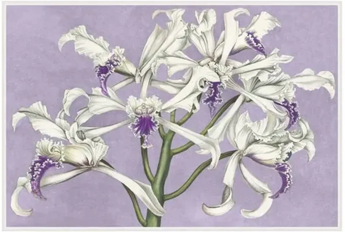 Lillian August - White Orchids on Lilac