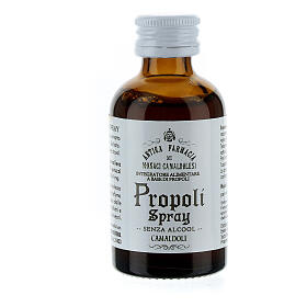 Propolis spray without alcohol Camaldoli 30 ml