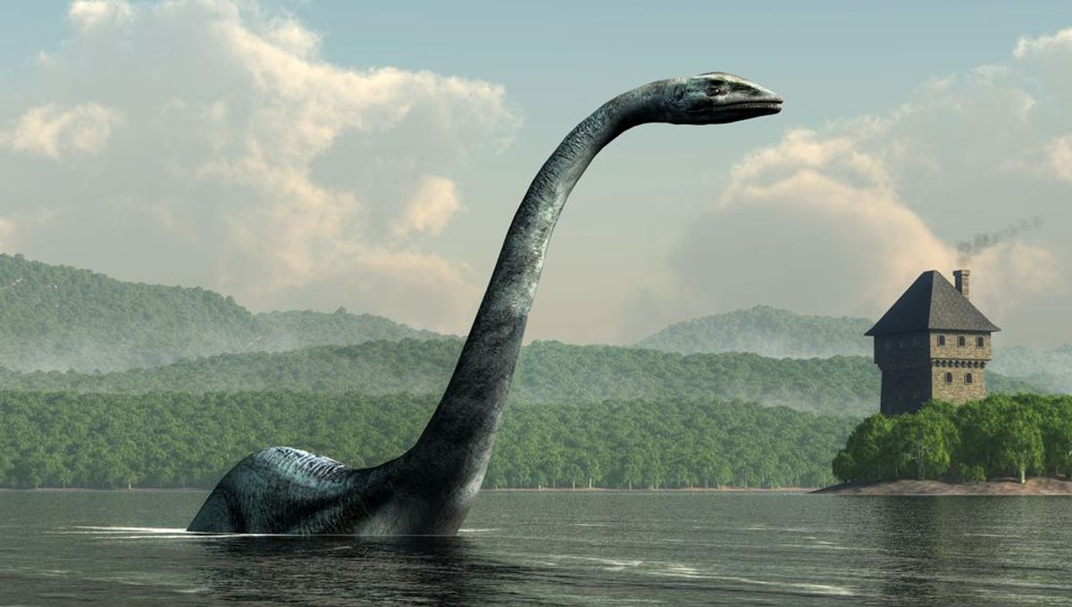 Loch Ness Monster New Photo | Hot Sex Picture