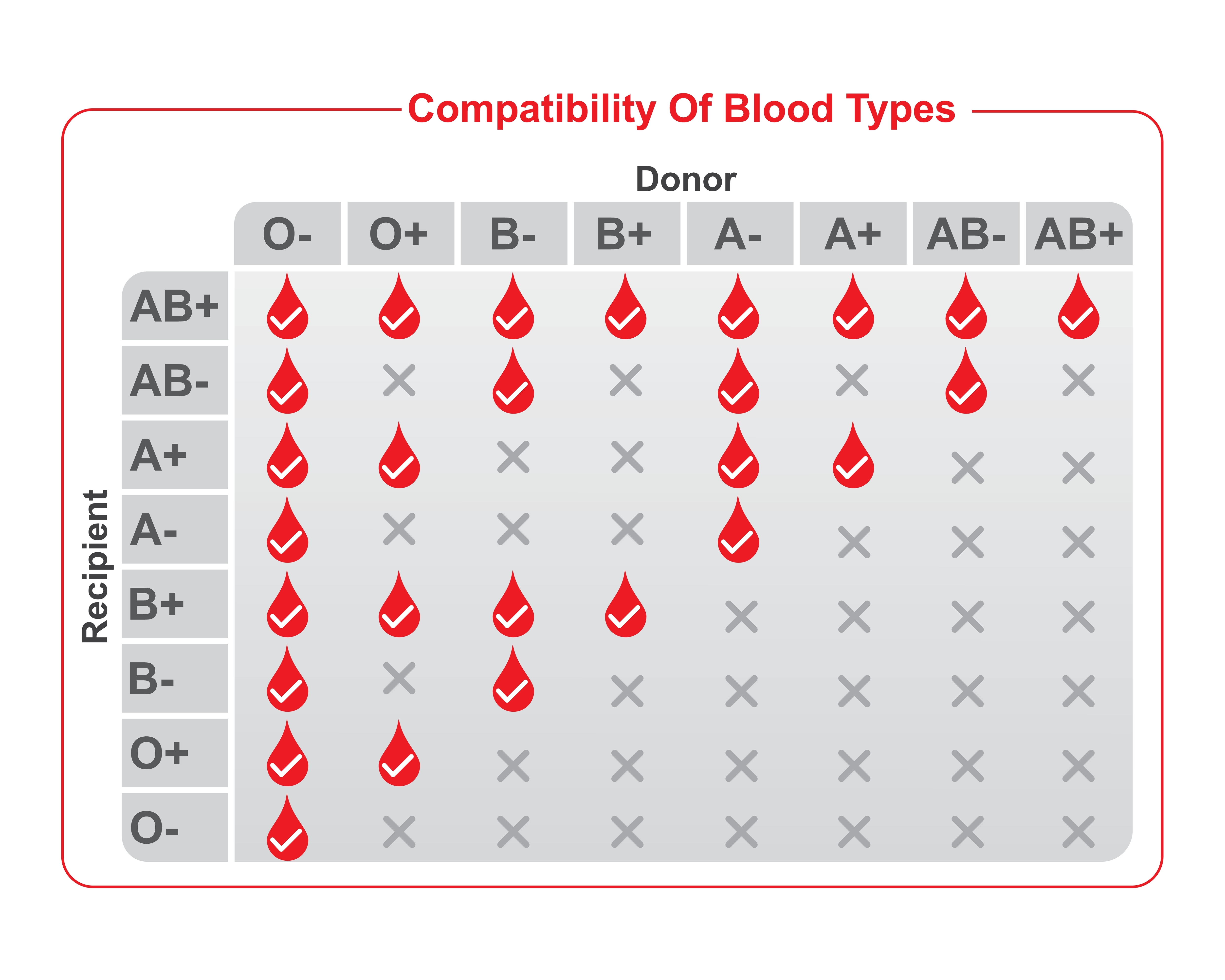 Blood Types Chart Blood Types Blood And School - vrogue.co