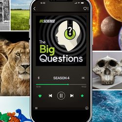 a collage of images representing all of the episodes of IFLScience The Big Questions Season 4