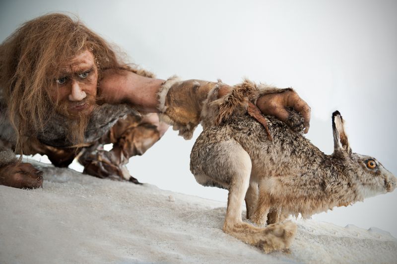 A neanderthal caveman grasps a scared rabbit, Stoneage Hunting