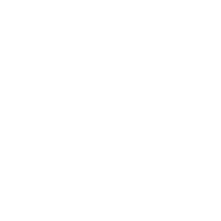 iZone