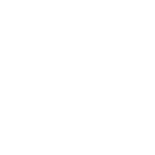 Financial Audit with Caleb Hammer