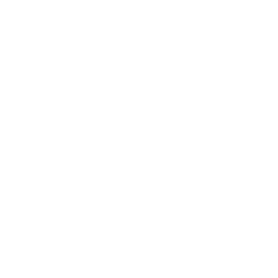 SEG.Smart Door