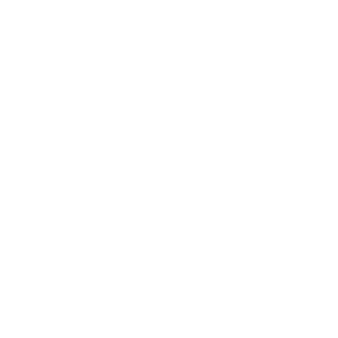 SkyBell HD