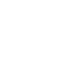 Blue by ADT