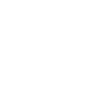 National Science Foundation