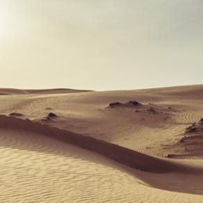 EXCURSIÓN AL DESIERTO EN MARRAKECH