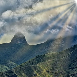 EXCURSIÓN A LA GOMERA