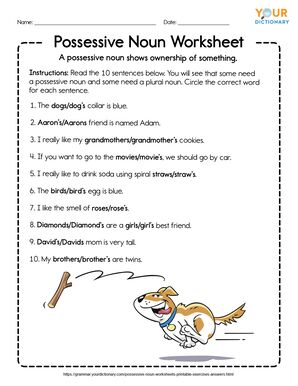 Possessive Noun Worksheets: Printable Exercises With Answers ...