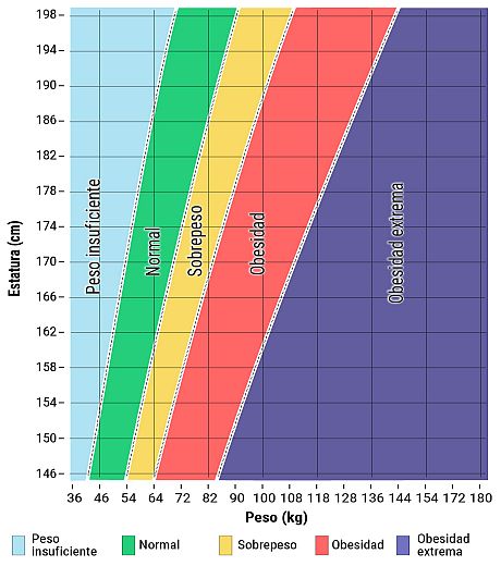 Índice de masa corporal (IMC) para adultos - MedicalRecords.com