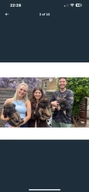 German Shepherd dogs for sale in London - Advert 12