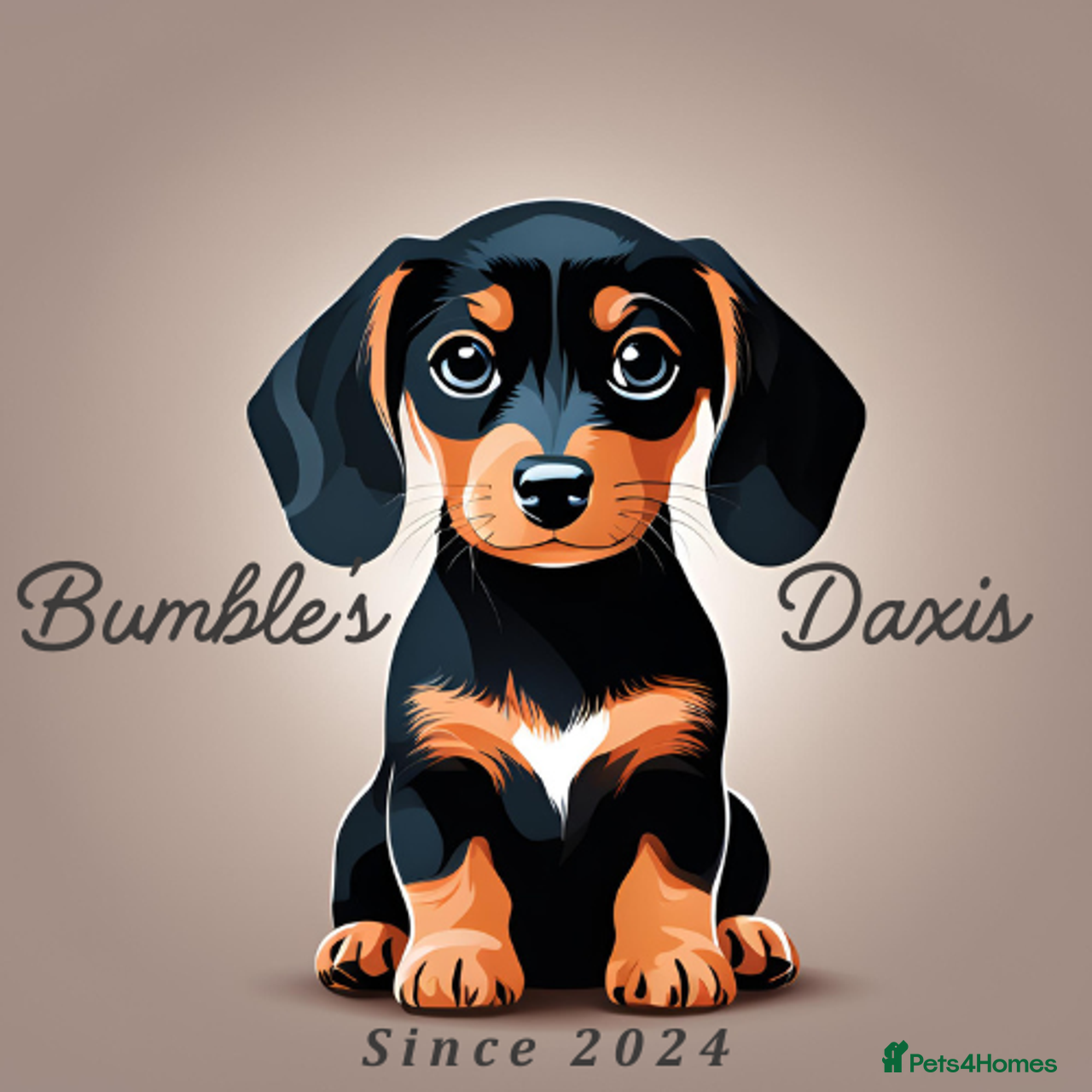 Bumble's Daxies 