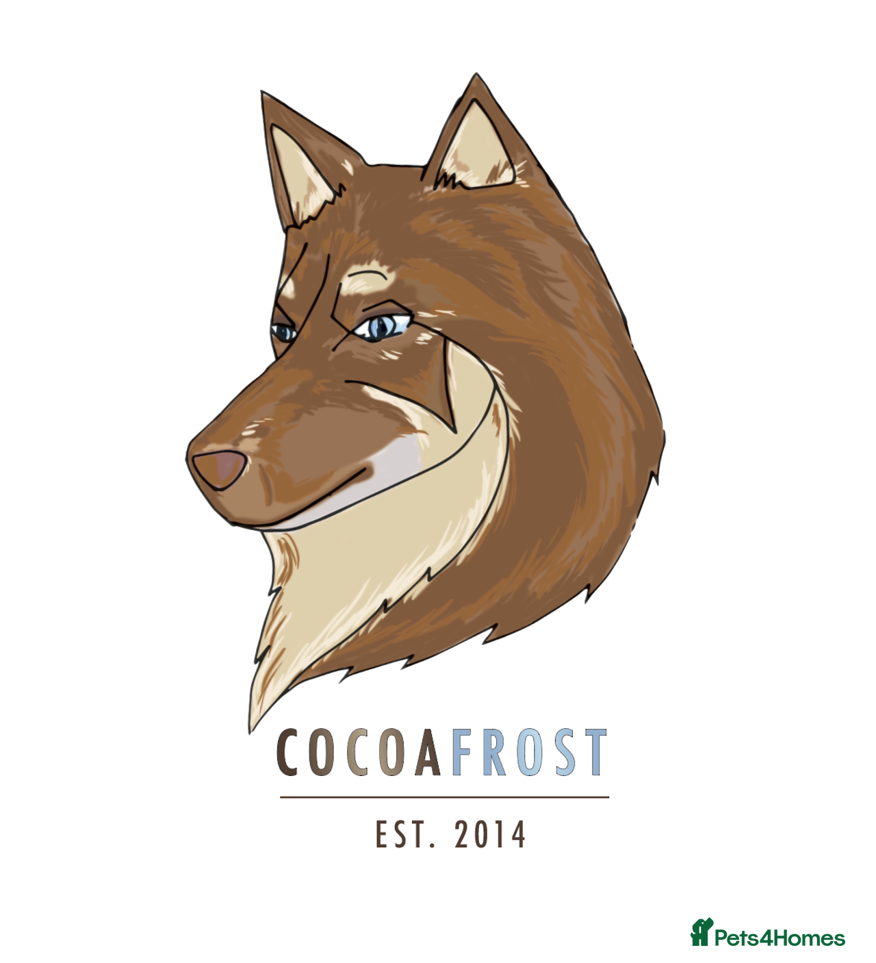 Cocoafrost Licenced Pomsky Breeders