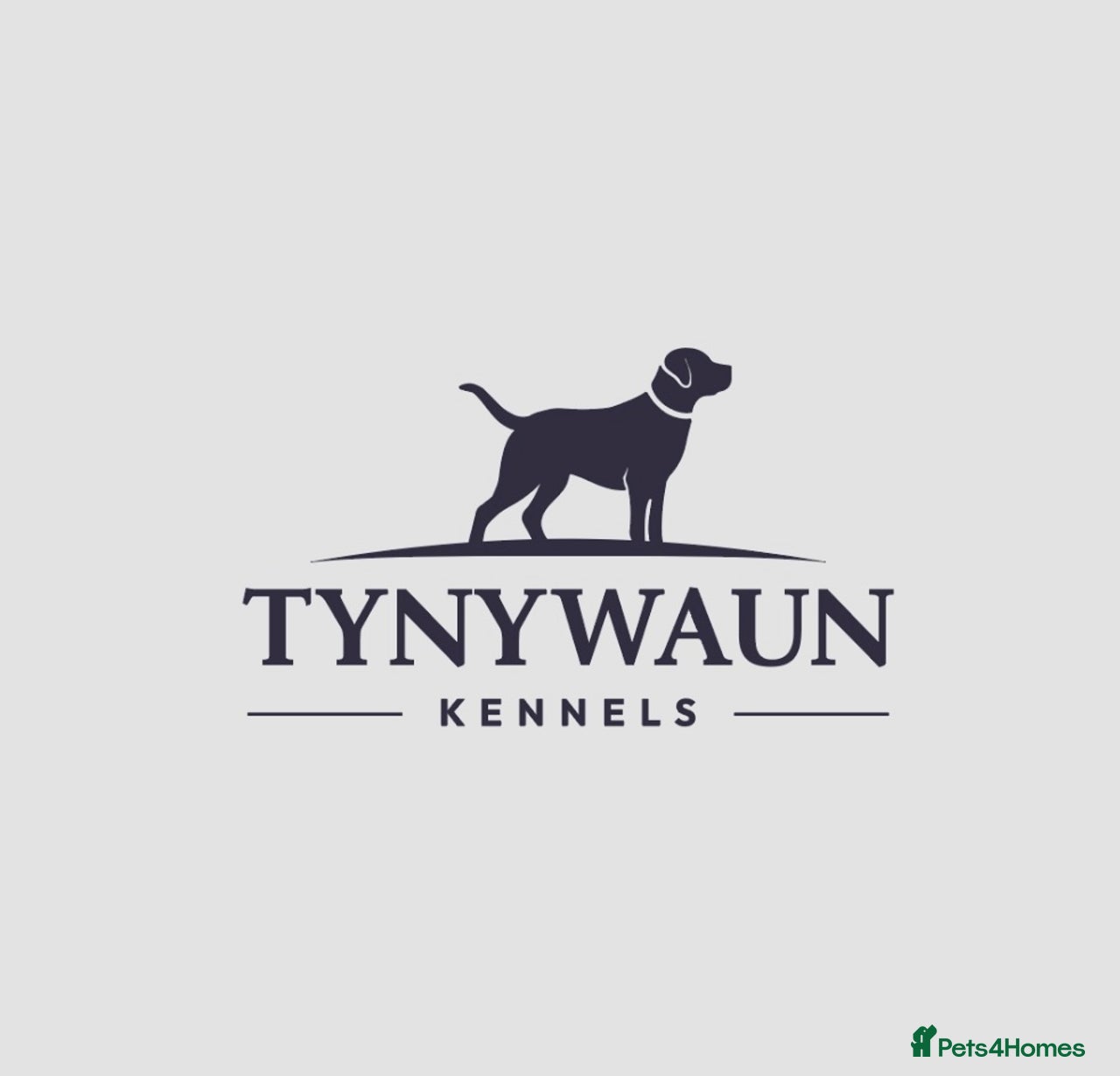 Tynywaun Kennels