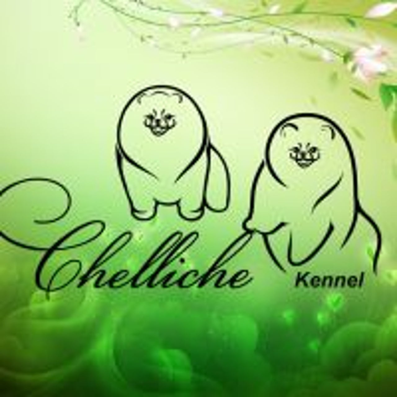 Chelliche