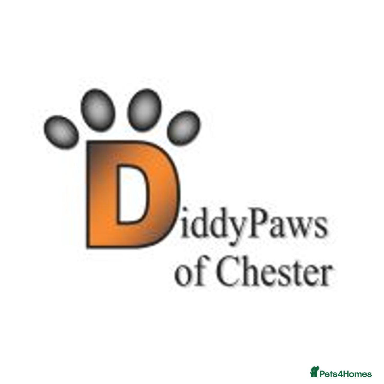 Diddy Paws of Chester