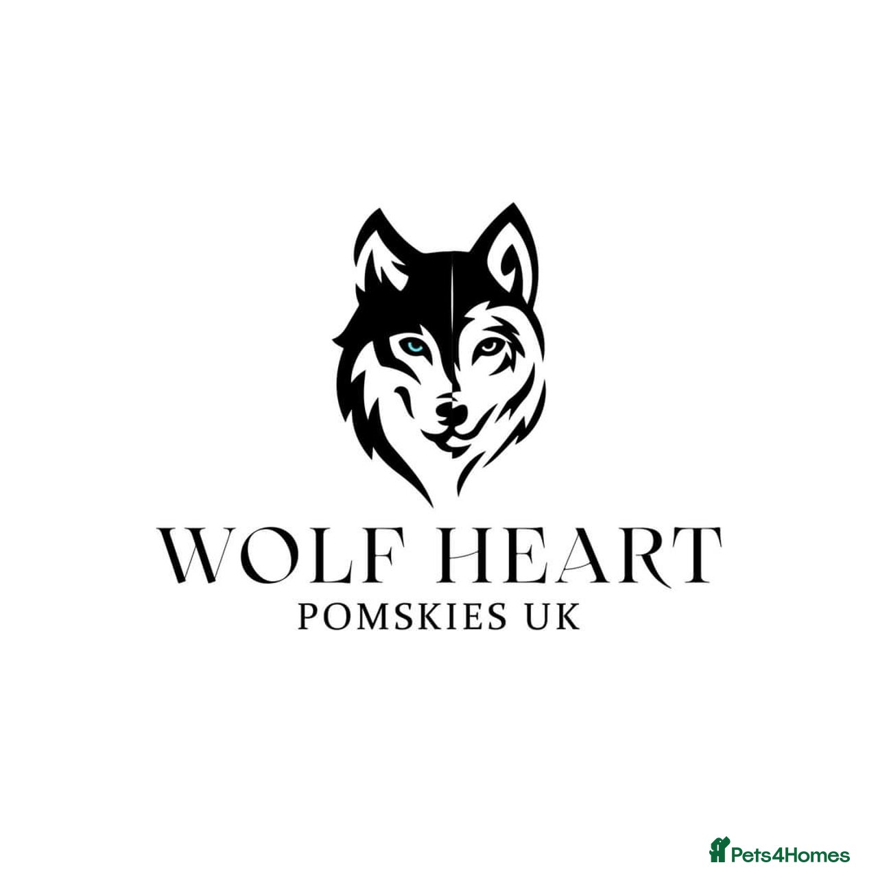 Wolf Heart Pomskies UK (Fully Licenced)