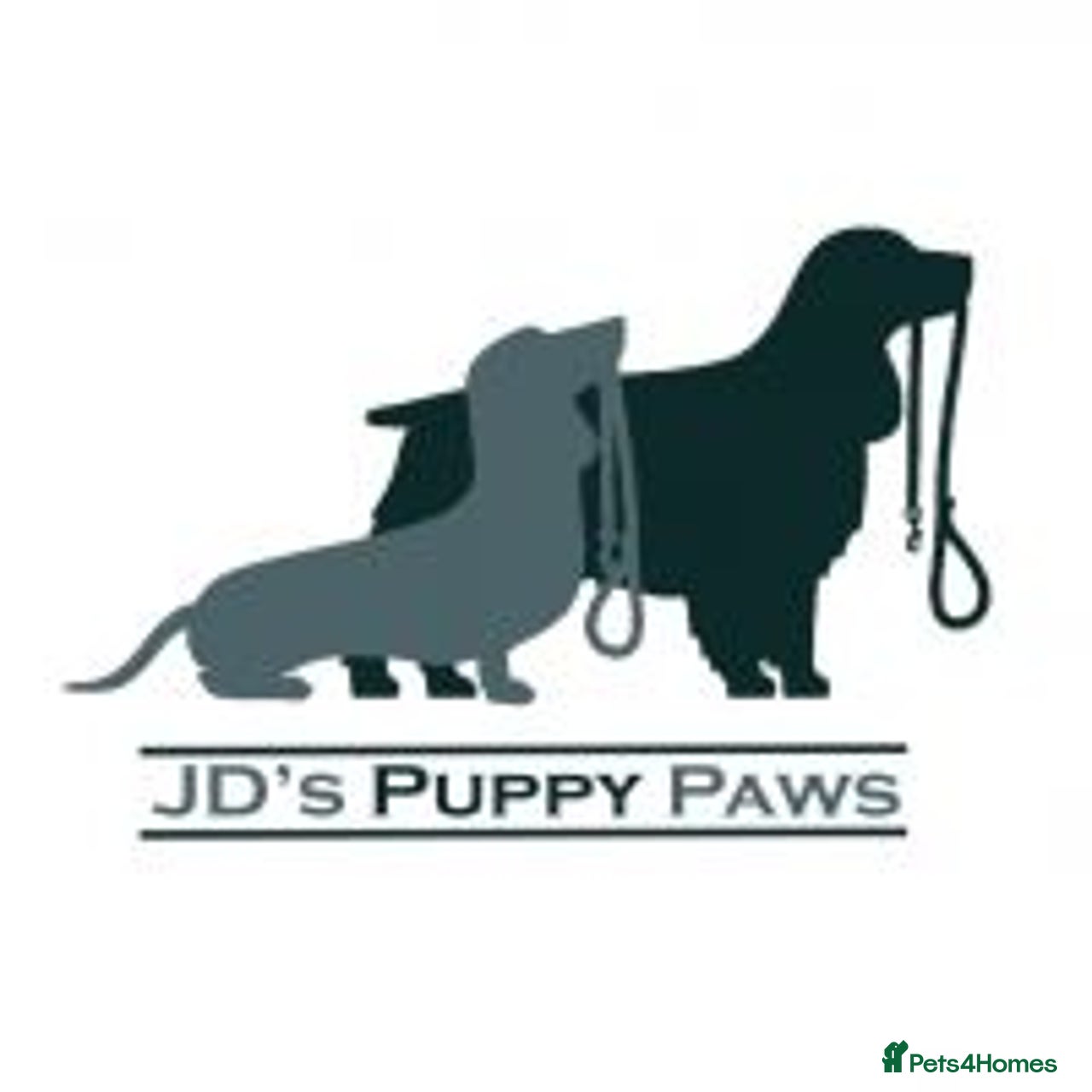 Jds puppy paws LICENSED BREEDER