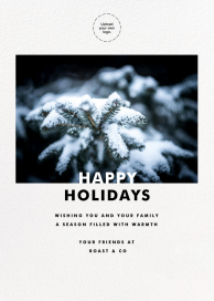 Tall Horizontal (Photo) - Holiday Card by Paperless Post