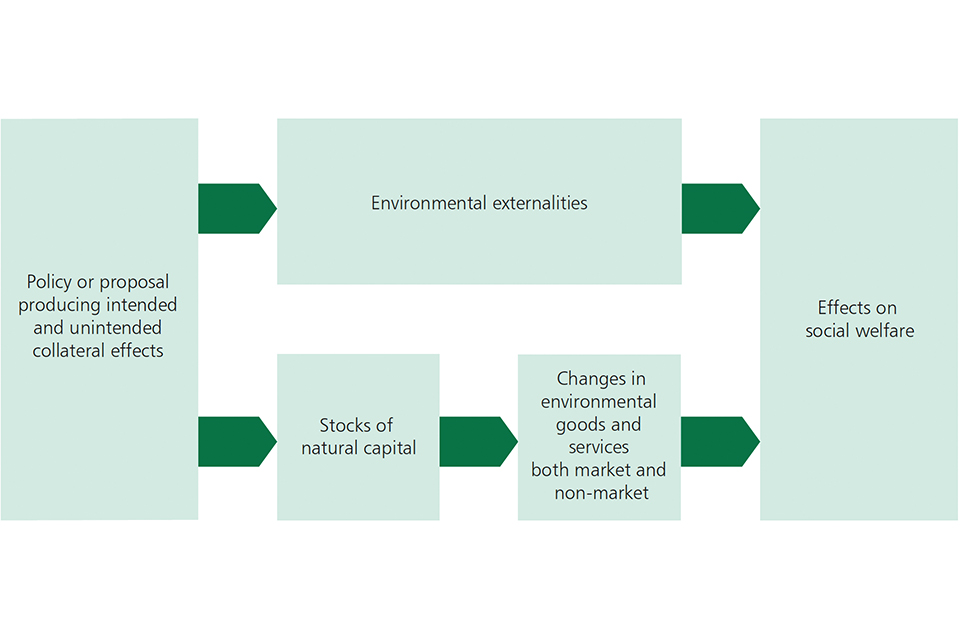 Figure 9. The Natural Capital Framework 