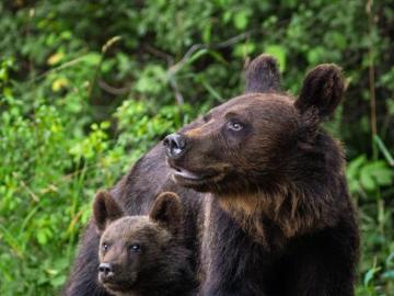 Bieszczady jigsaw puzzle online