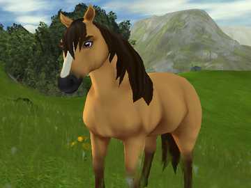 Spirit from Star Stable online puzzle