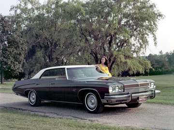 1973 Buick Lesabre Custom online puzzle