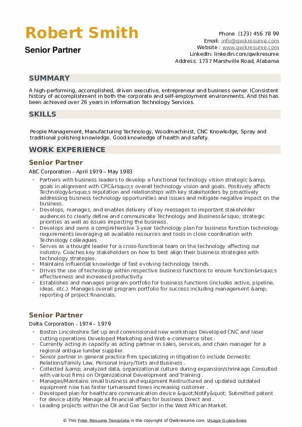 Senior Partner Resume example