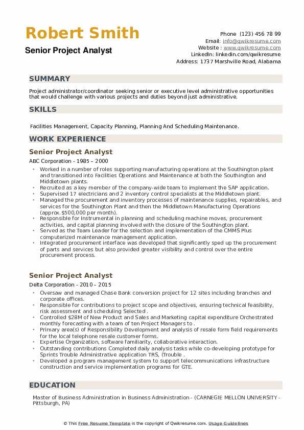 Senior Project Analyst Resume example