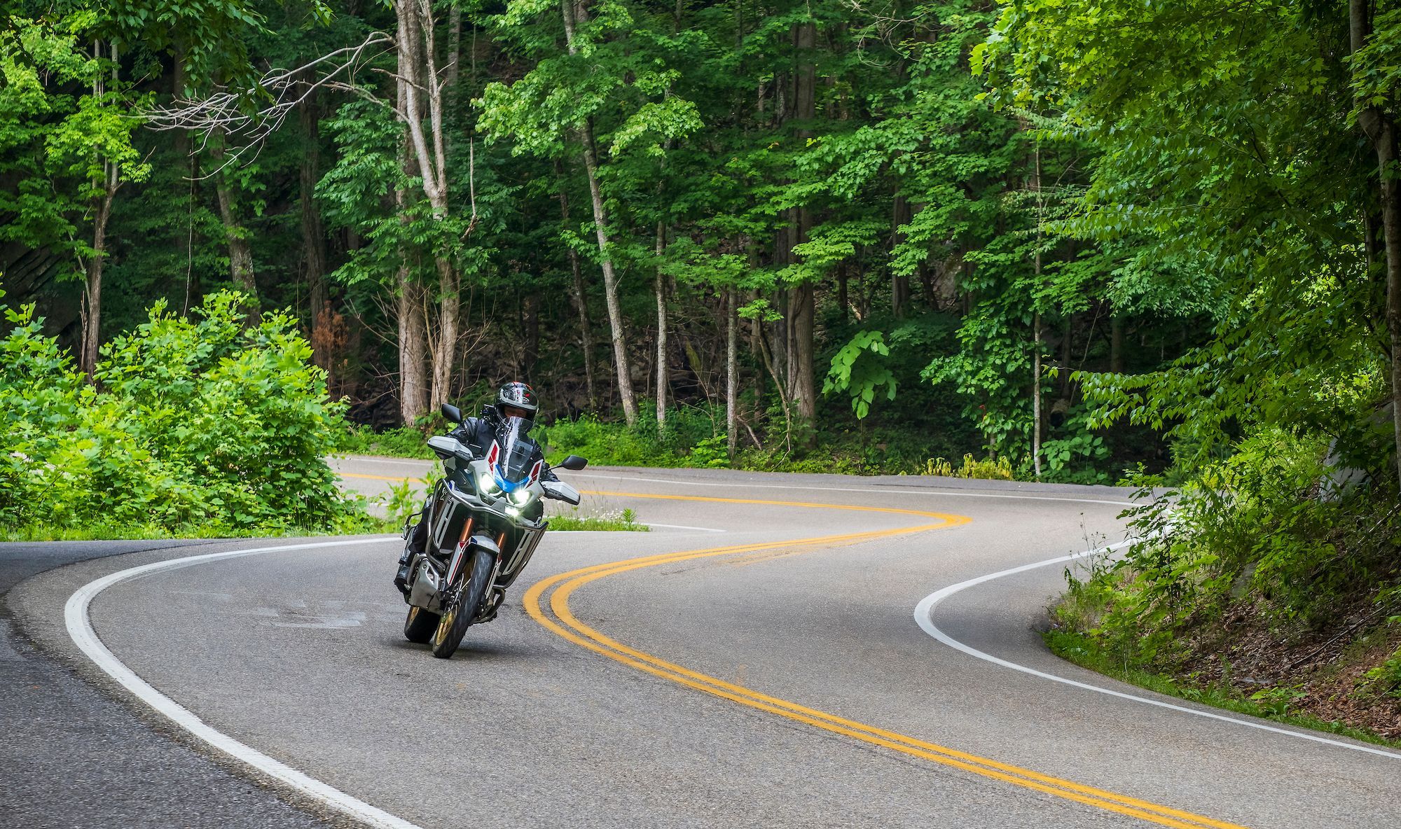 The Hidden Gem of the Nantahala Forest—Wayah Road and Wayah Bald Road