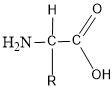 Aminosäure