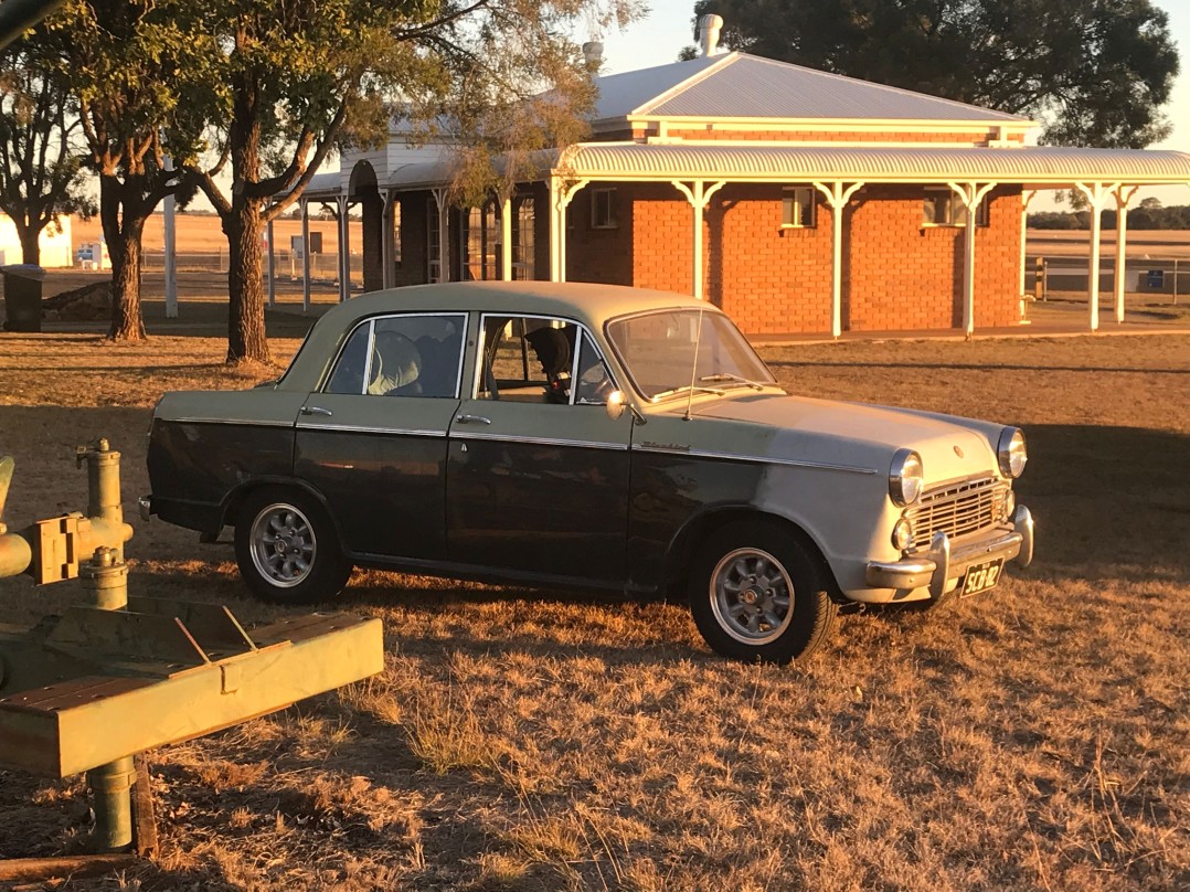 1963 Datsun Bluebird