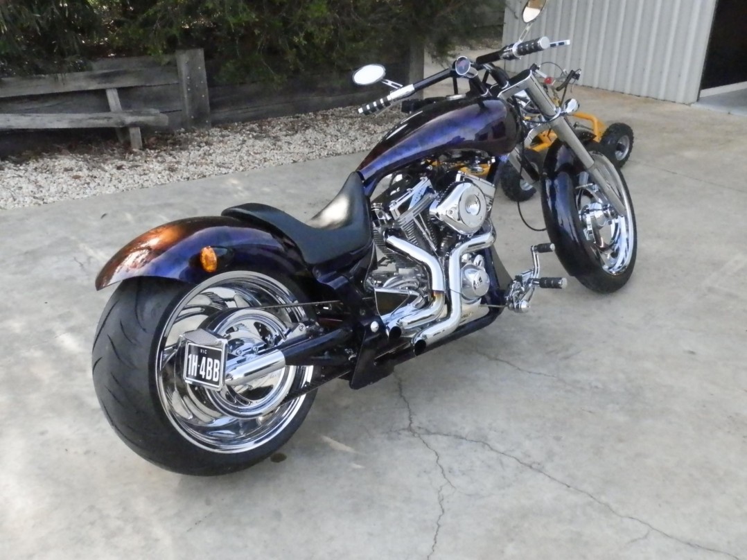 2010 Custom Chopper Ness