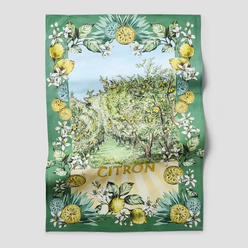 Sur La Table Citron Kitchen Towel