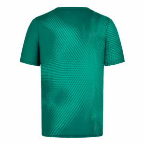 2024 Aston Martin Lifestyle Burst Active T-shirt (Green) - Medium Adults  by Race Crate