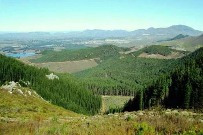 The Elgin Valley