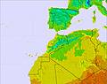 Marrakech-Tensift-Al Haouz temperature map