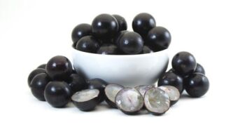 Jabuticaba